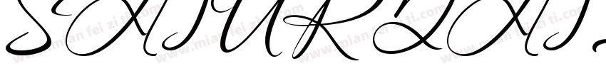 SATURDATE SERIF字体转换